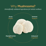 Mushroom Gummies 60s - Pack of 2