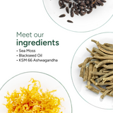 Sea Moss Gummies 120s