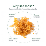 Sea Moss Gummies 120s