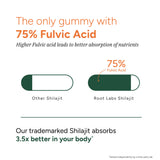 Shilajit Gummies 60s