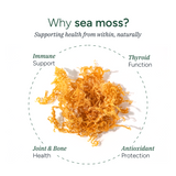 Sea Moss Gummies