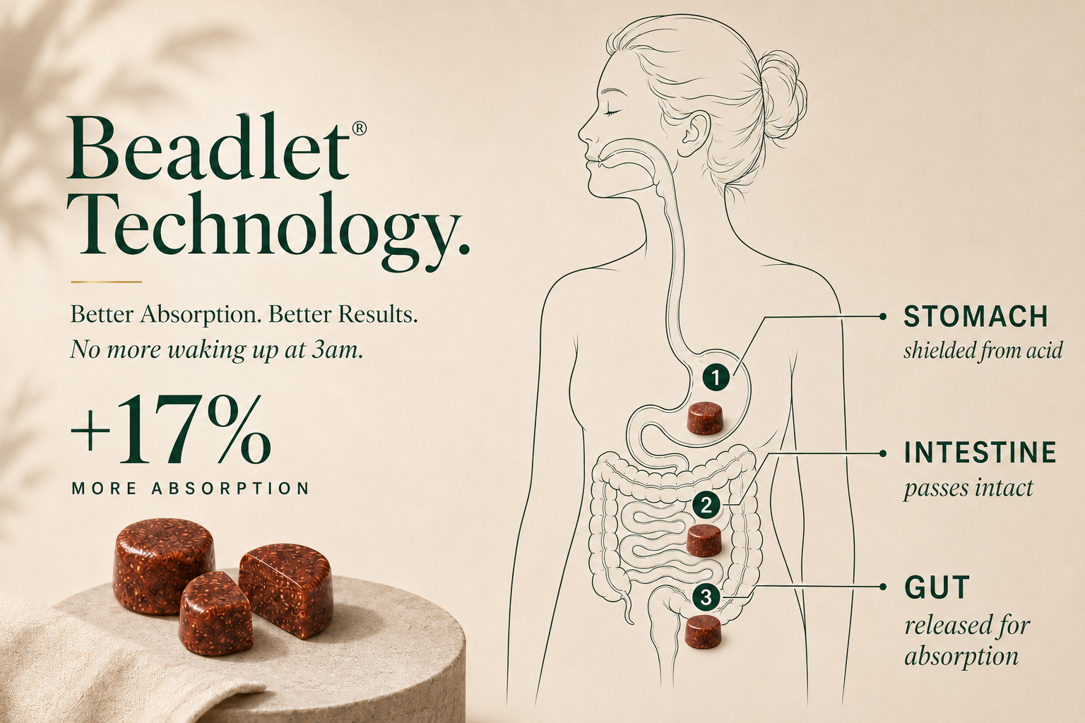 Beadlet Technology — better absorption explainer