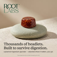 Digestion path